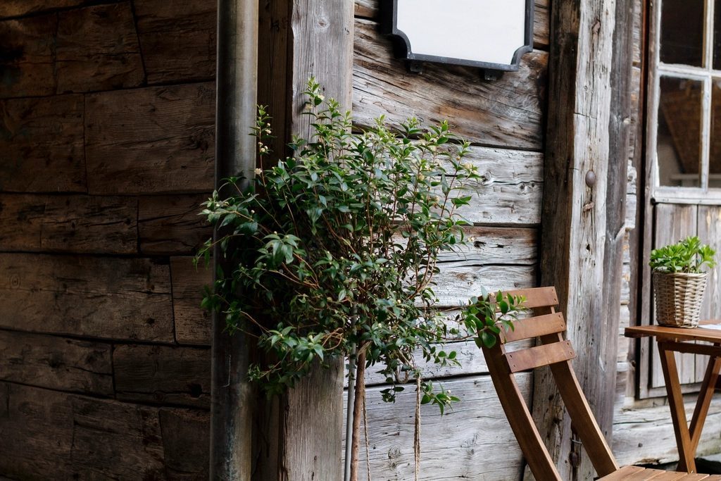 Træbeklædt sommerhus med have