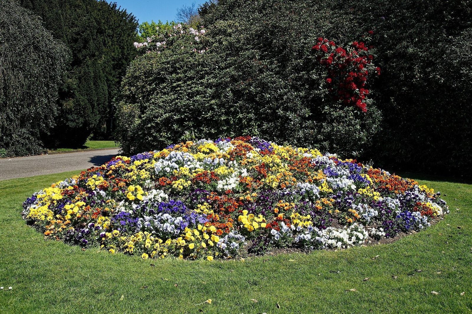 Plantning i et blomsterbed